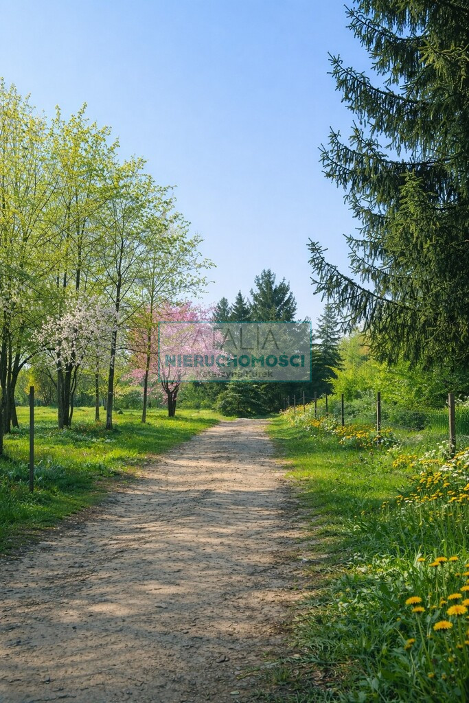 Działka Sprzedaż Radziejowice-Parcel