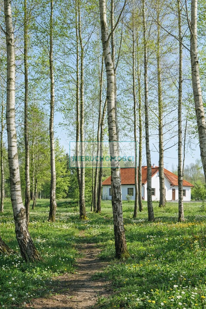 Działka Sprzedaż Radziejowice-Parcel