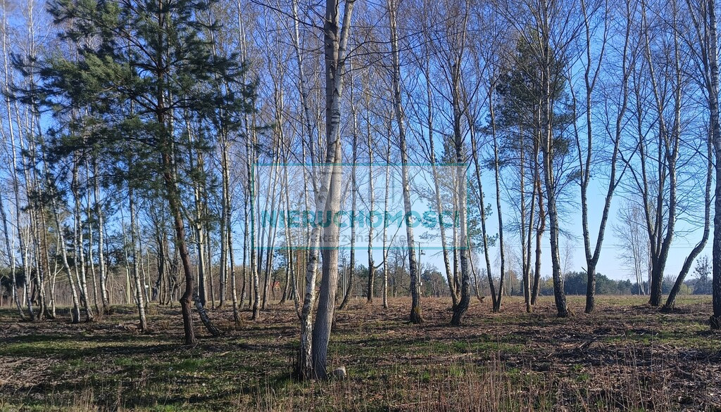 Działka Sprzedaż Radziejowice-Parcel