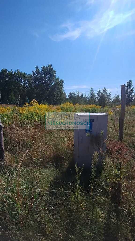 Działka Sprzedaż Stare Budy Radziejowskie