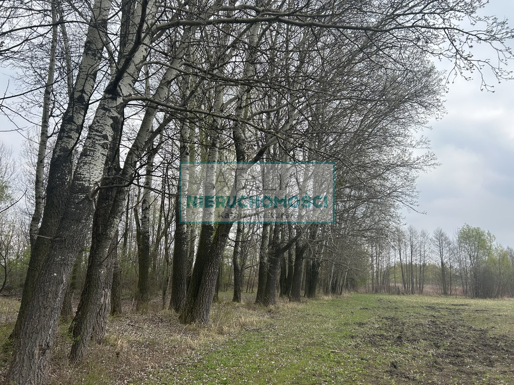 Działka Sprzedaż Baranów
