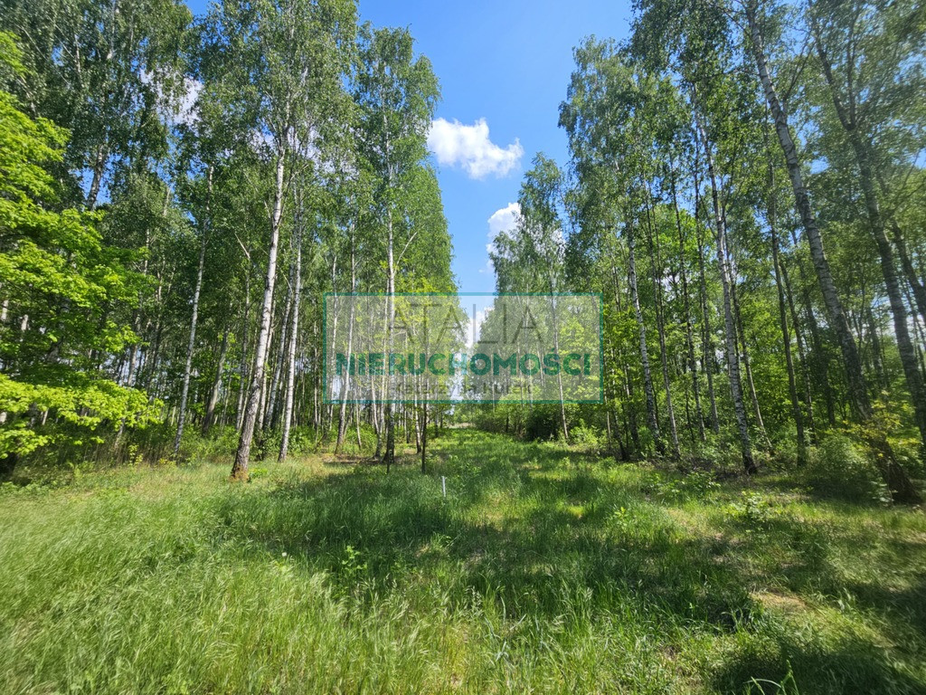 Działka Sprzedaż Kozerki