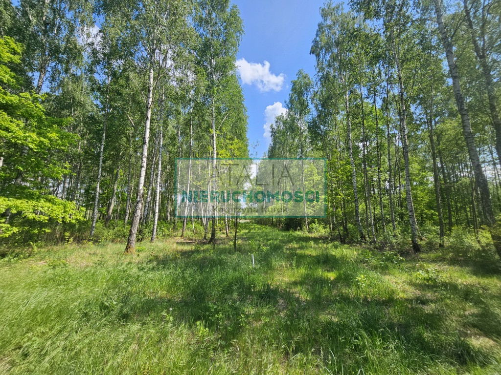 Działka Sprzedaż Kozerki