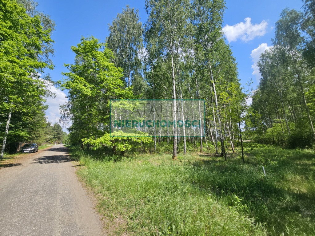 Działka Sprzedaż Kozerki