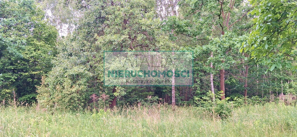 Działka Sprzedaż Oddział