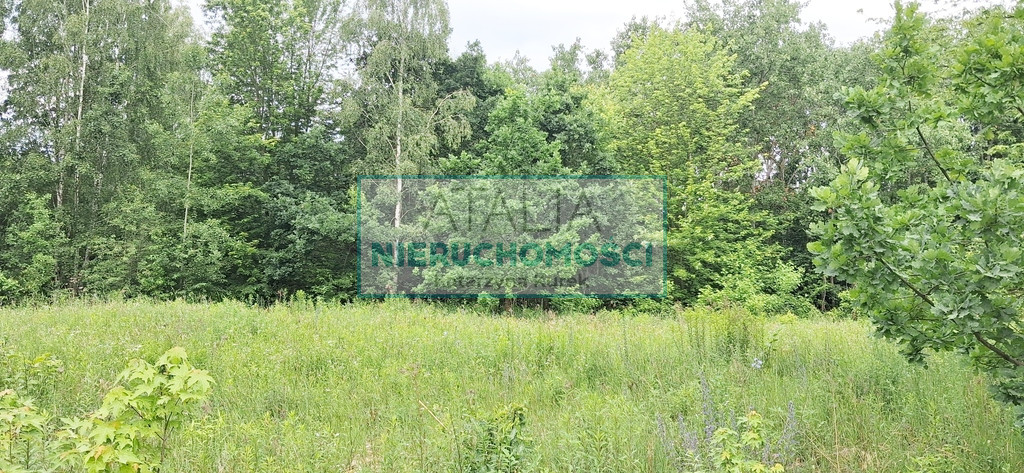 Działka Sprzedaż Oddział