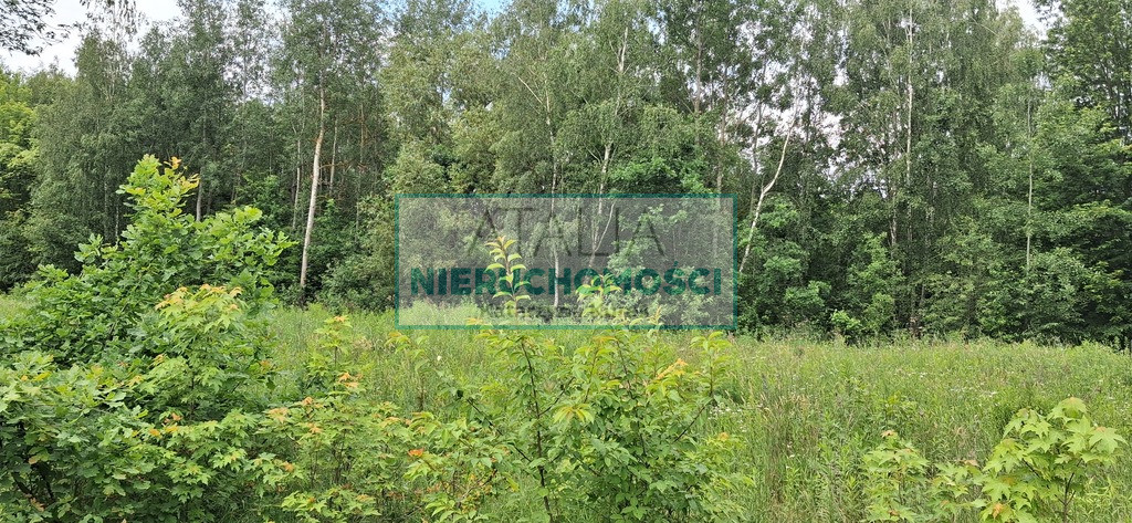Działka Sprzedaż Oddział