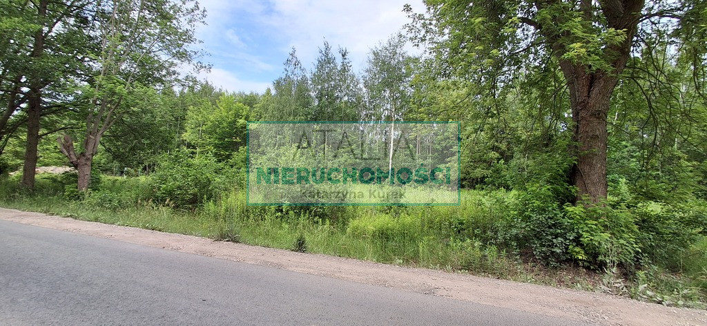 Działka Sprzedaż Oddział