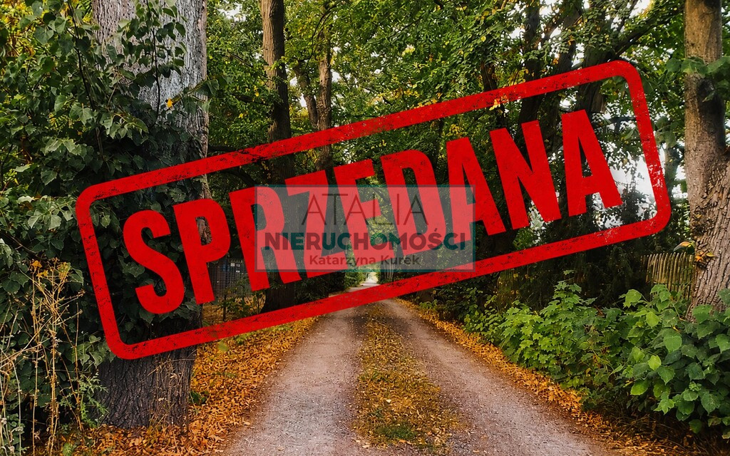 Działka Sprzedaż Adamowizna