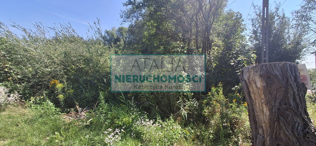 Działka Sprzedaż Kotowice