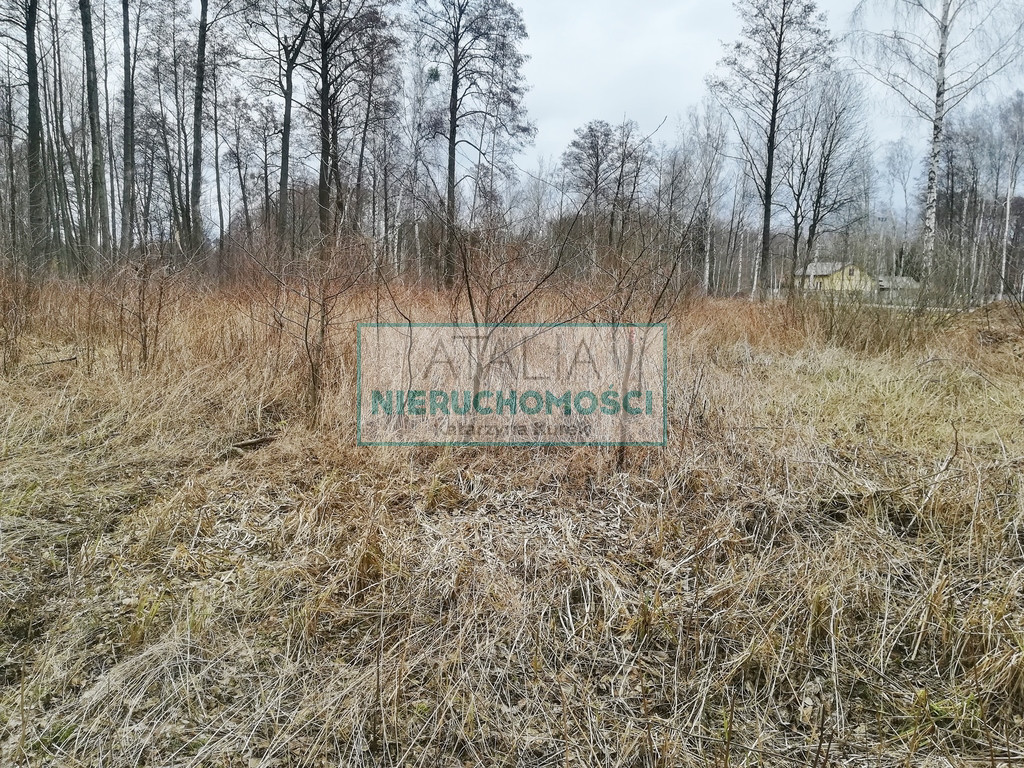 Działka Sprzedaż Czarny Las