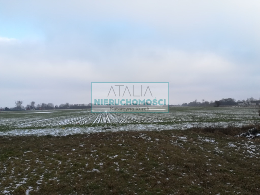 Działka Sprzedaż Żaby