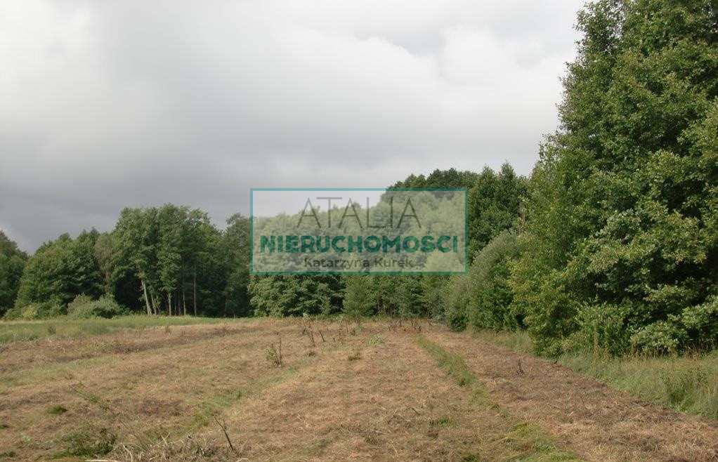Działka Sprzedaż Nowe Budy
