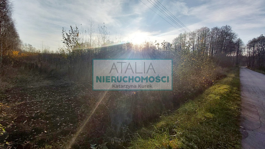 Działka Sprzedaż Adamów-Wieś
