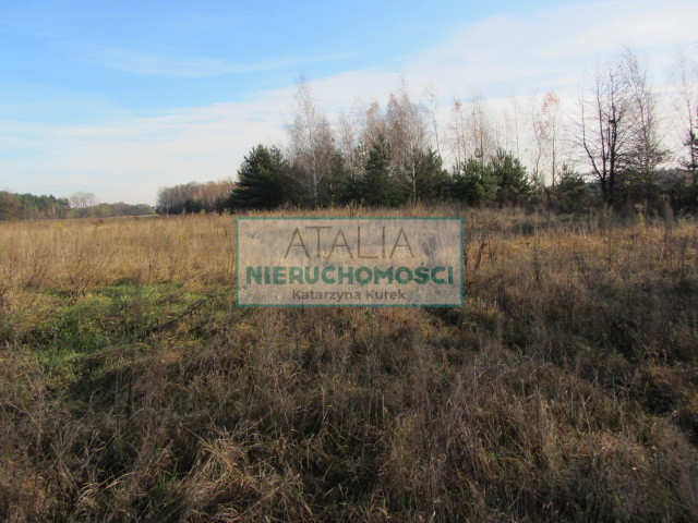 Działka Sprzedaż Suszeniec