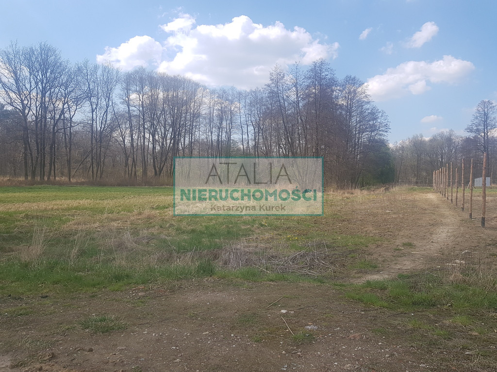 Działka Sprzedaż Książenice