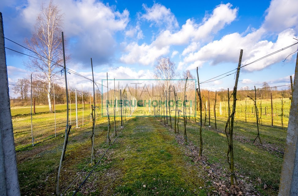 Dom Sprzedaż Skierniewice