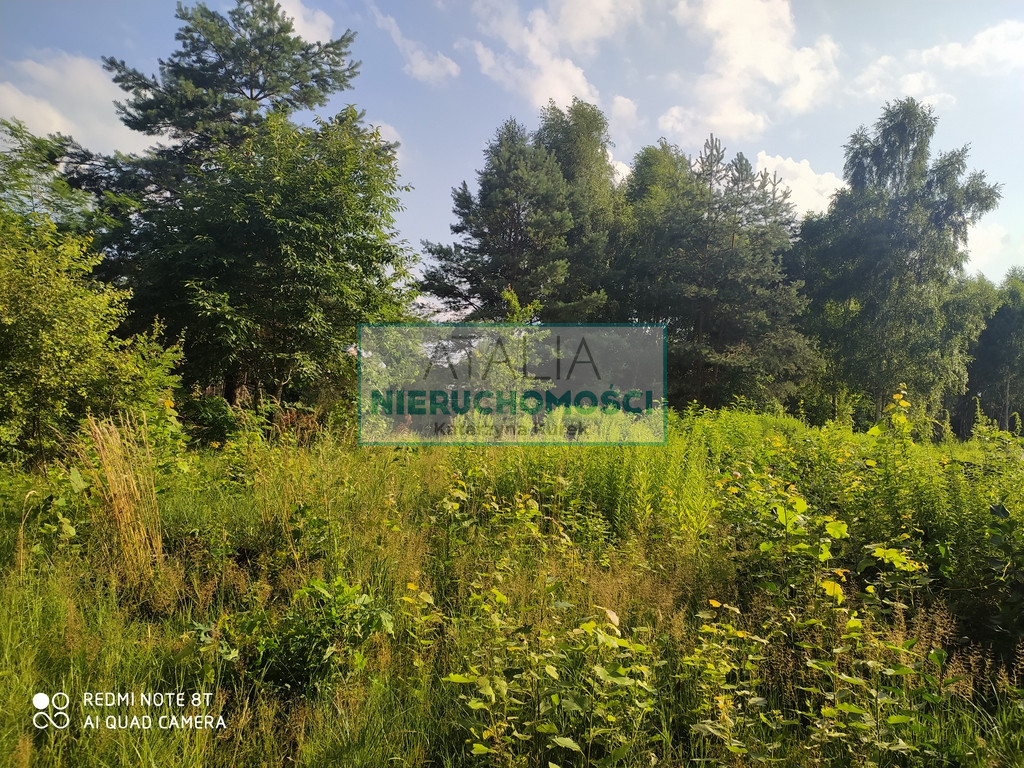 Działka Sprzedaż Zalesie