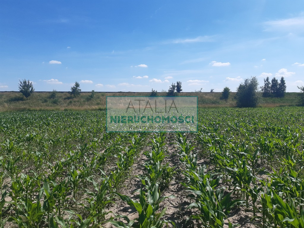 Działka Sprzedaż Grodzisk Mazowiecki