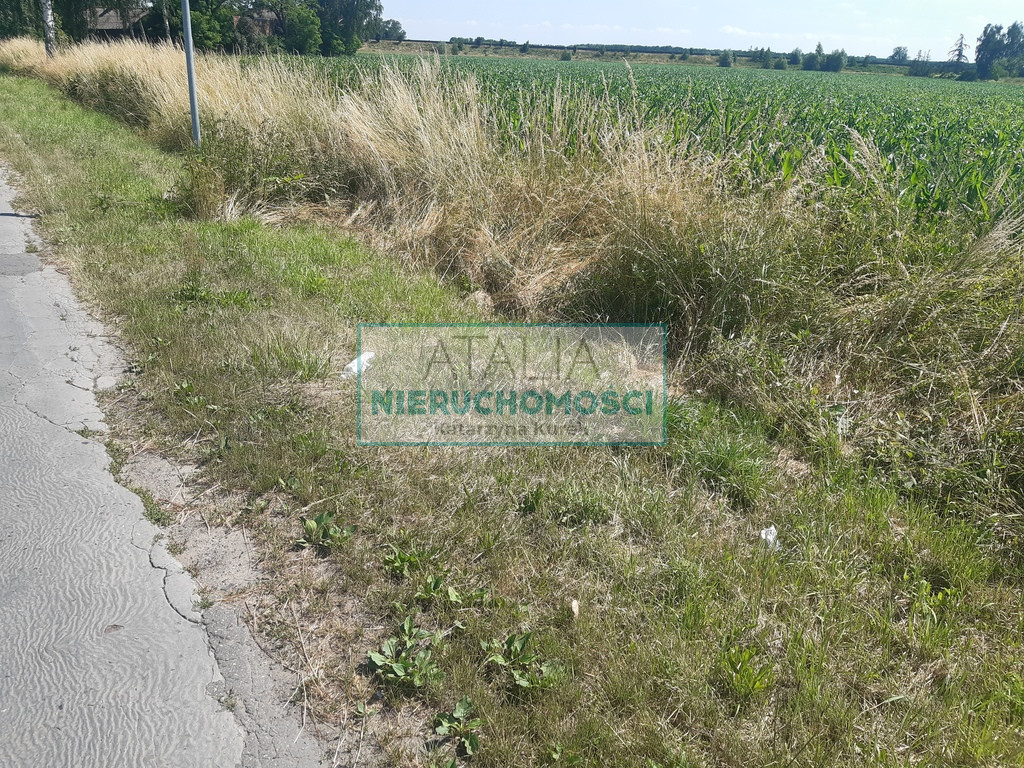 Działka Sprzedaż Grodzisk Mazowiecki