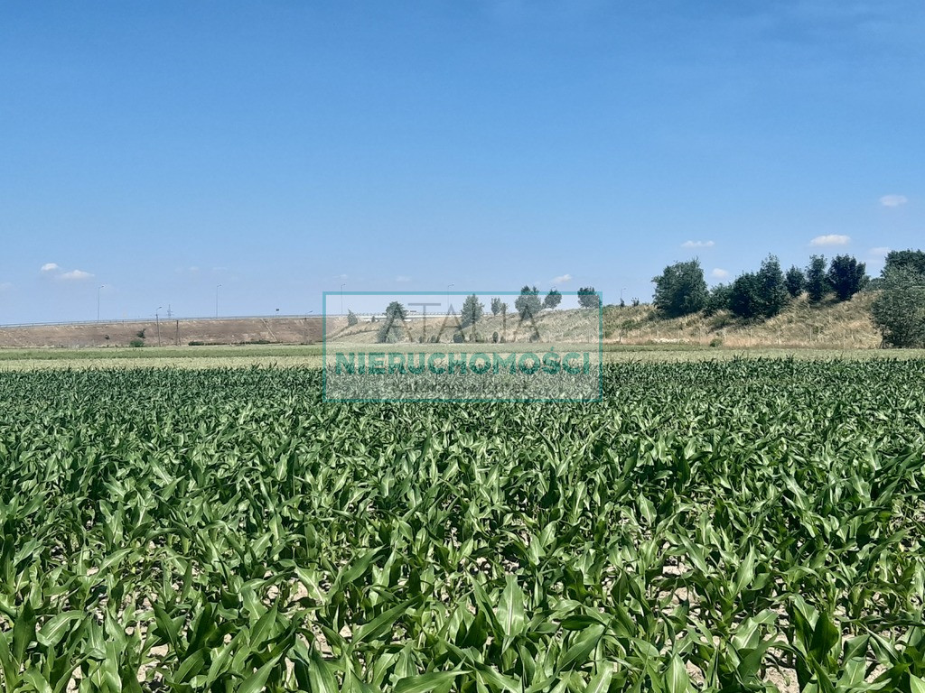Działka Sprzedaż Grodzisk Mazowiecki
