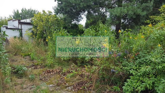 Działka Sprzedaż Warszawa Włochy