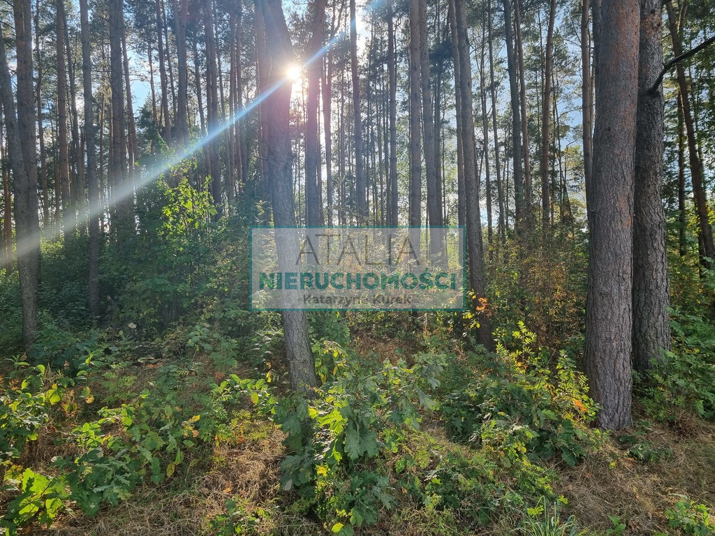 Działka Sprzedaż Ojrzanów