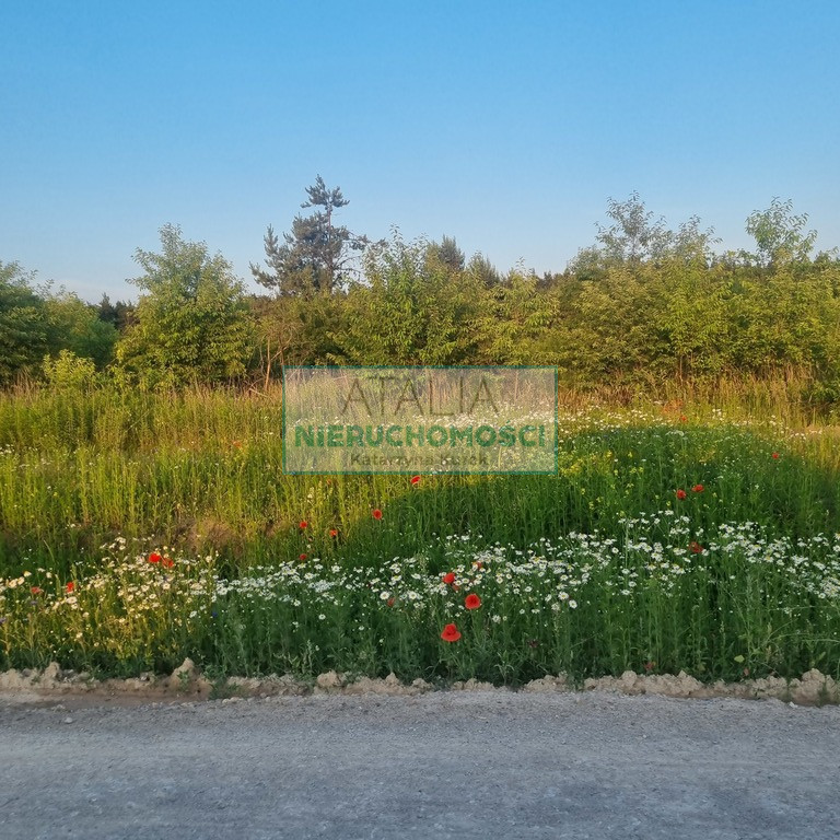 Działka Sprzedaż Mieszkowo