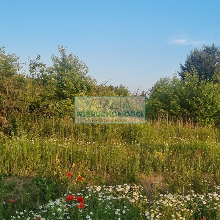 Działka Sprzedaż Mieszkowo