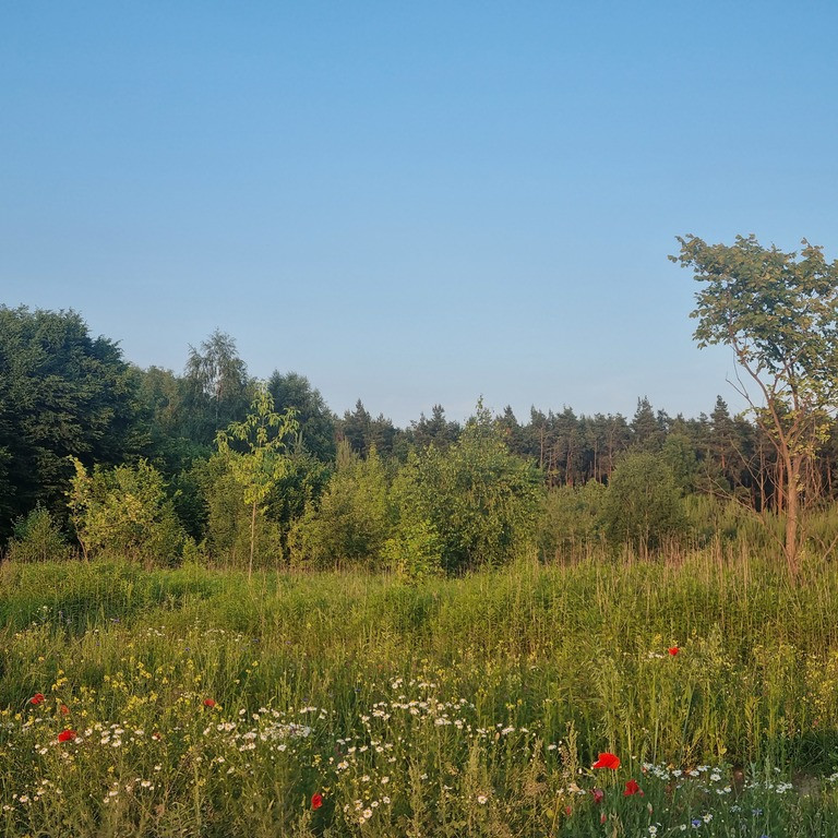 Działka Sprzedaż Mieszkowo