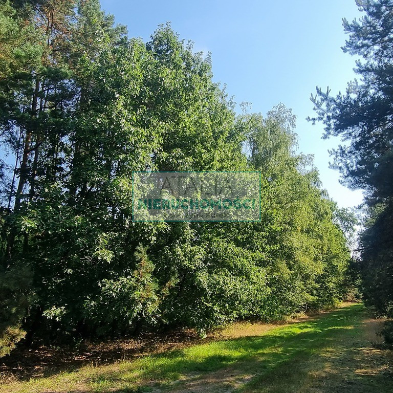 Działka Sprzedaż Prace Duże