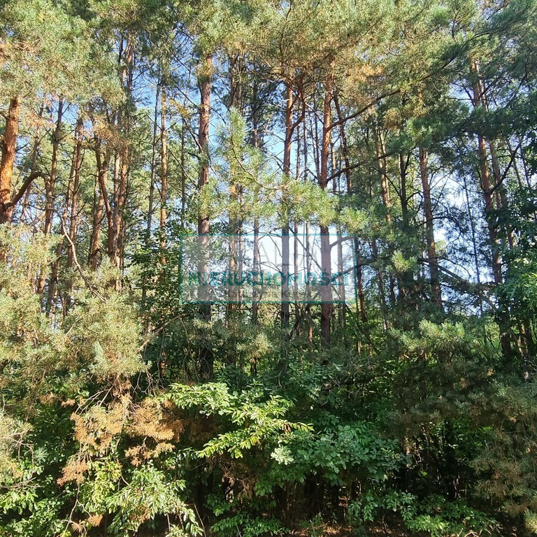 Działka Sprzedaż Prace Duże
