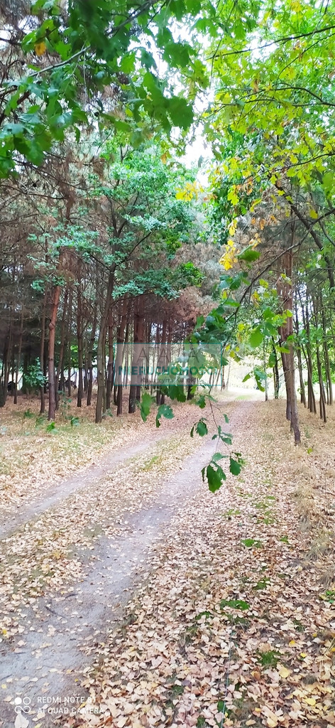 Dom Sprzedaż Skierniewice