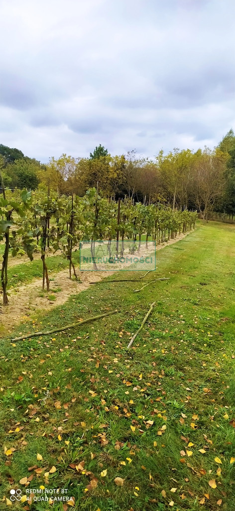 Dom Sprzedaż Skierniewice