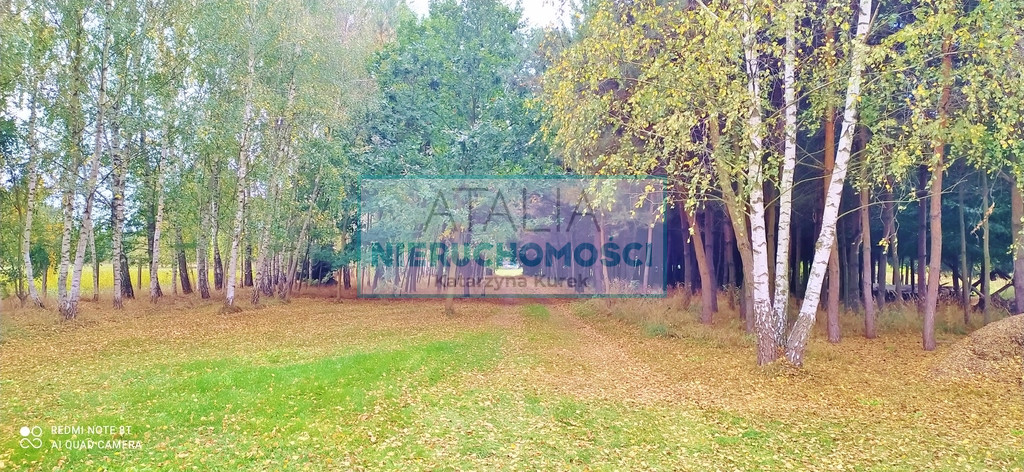 Dom Sprzedaż Skierniewice