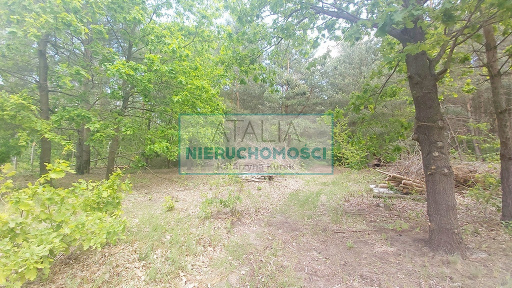 Działka Sprzedaż Książenice