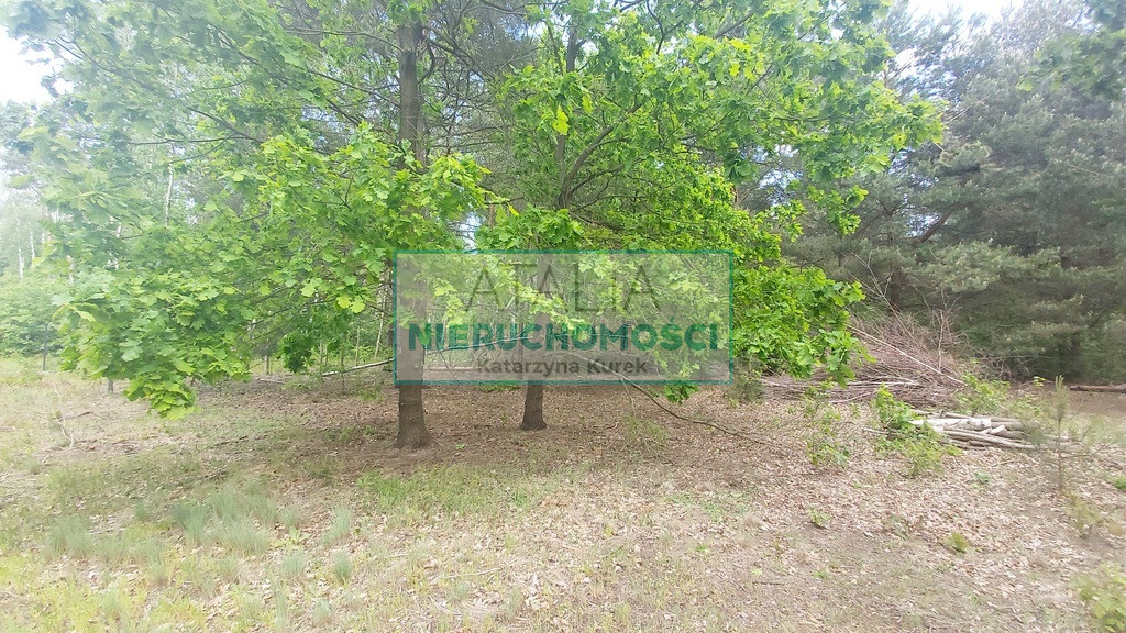 Działka Sprzedaż Książenice