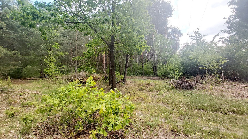 Działka Sprzedaż Książenice