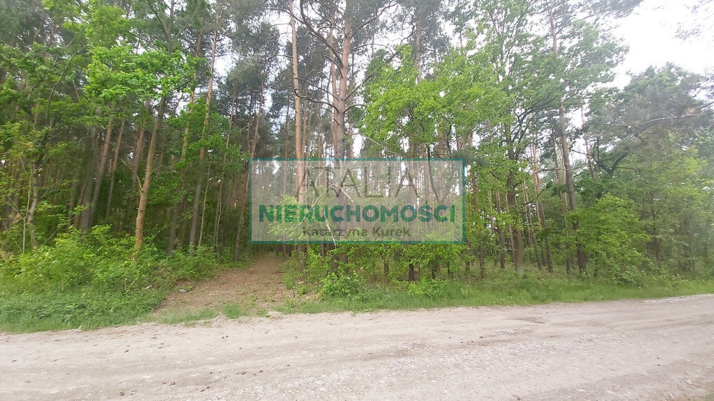 Działka Sprzedaż Książenice