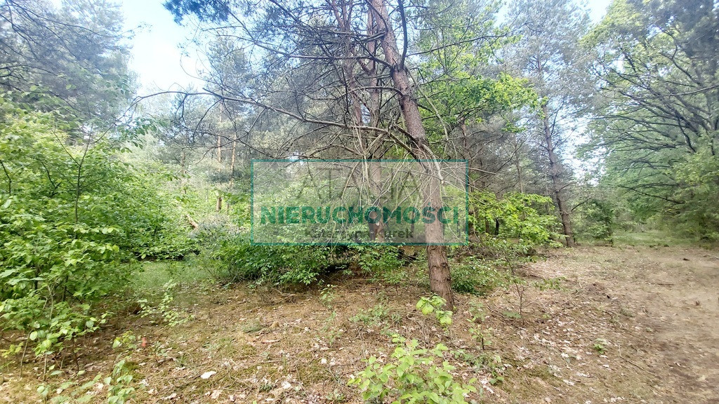 Działka Sprzedaż Książenice