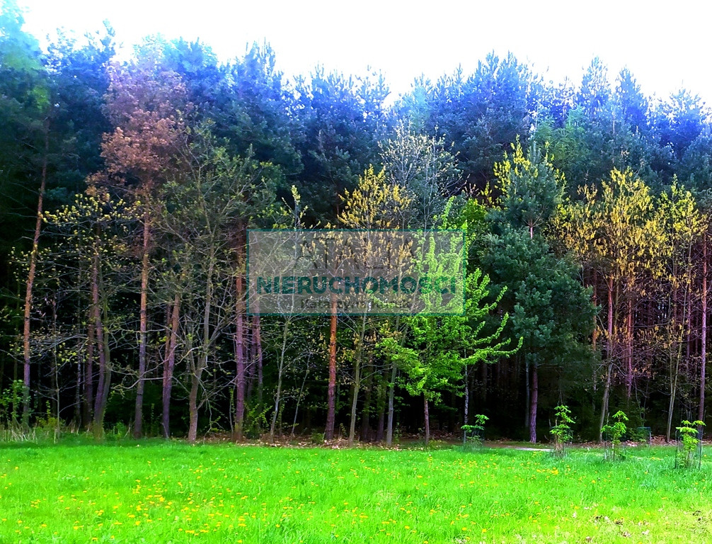 Działka Sprzedaż Słubica A
