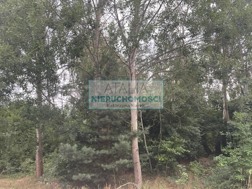 Działka Sprzedaż Zalesie