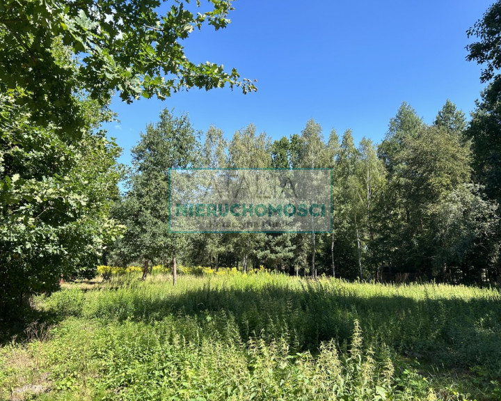 Działka Sprzedaż Adamów-Wieś