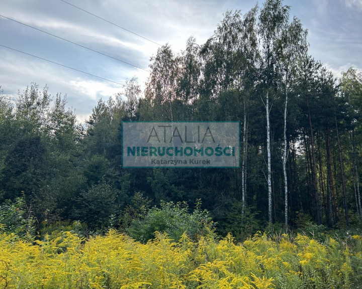 Działka Sprzedaż Radziejowice