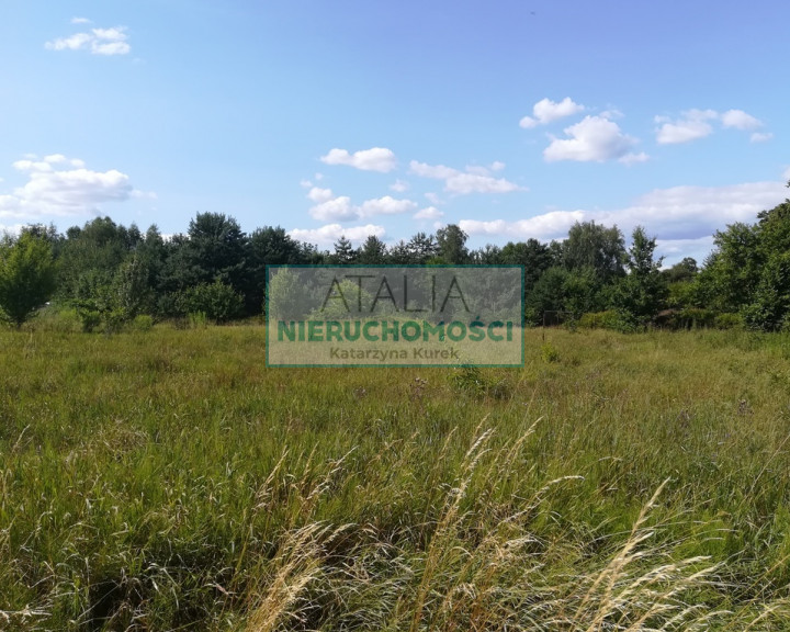 Działka Sprzedaż Osowiec