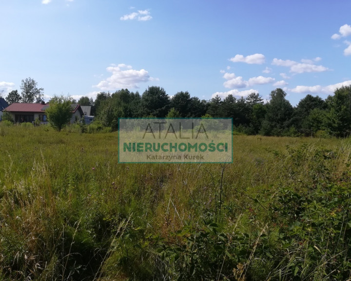 Działka Sprzedaż Osowiec