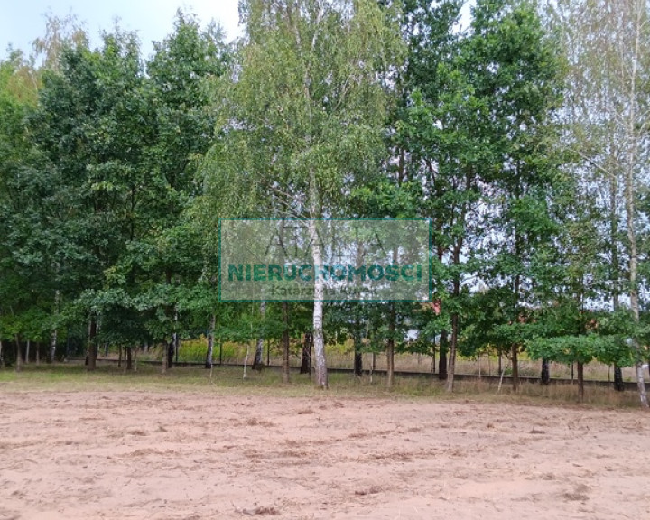 Działka Sprzedaż Kajetany