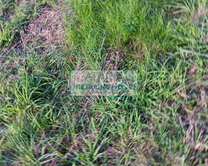 Działka Sprzedaż Milanówek