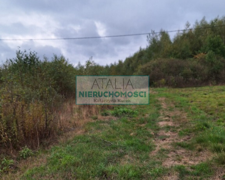 Działka Sprzedaż Bieganów