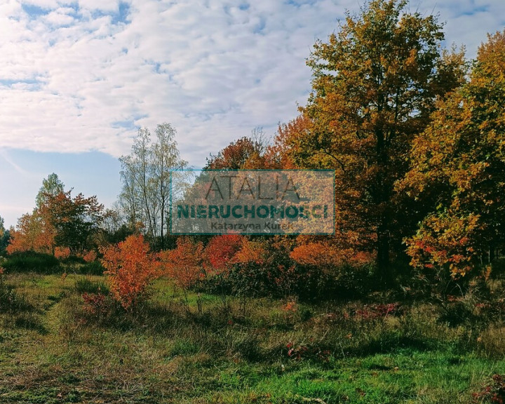 Działka Sprzedaż Piotrkowice